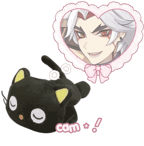 a stuffed black cat with a picture of a man in a heart above it that says com on it