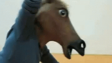 Horse Head GIF - Horse Head Weird GIFs