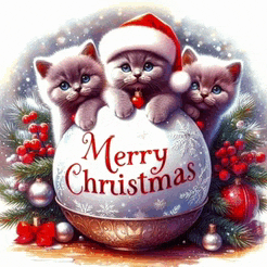 three kittens sitting on top of a merry christmas decoration