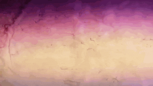 a purple and yellow background with a gradient of purple to yellow .