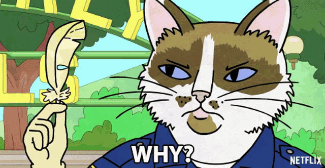 a cartoon cat is holding a feather and says why