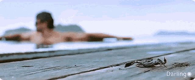 a crab is crawling on a wooden dock with a man in the background and the word darling below it