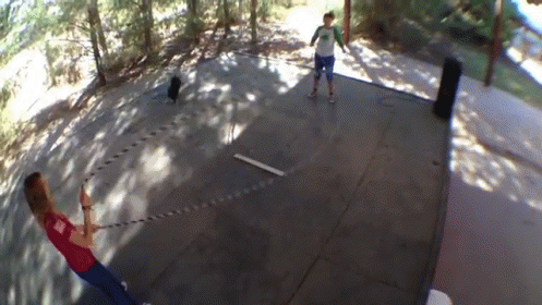 Double Dutch Dog GIF - Jump Rope Dog GIFs