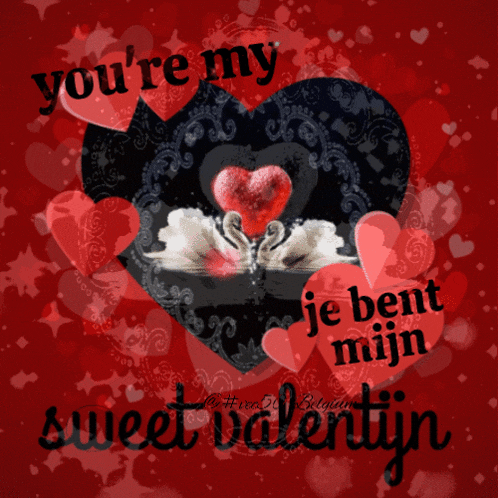 a valentine 's day card with two swans and the words you 're my sweet valentin