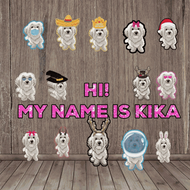 Kikakika Kikathedog GIF - Kikakika Kikathedog Dogsofinstagram GIFs