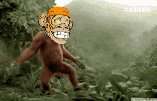 a cartoon of a monkey wearing an orange hat with the hashtag #tribe on the bottom