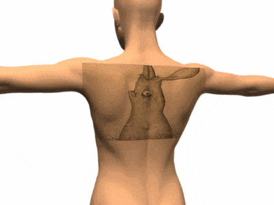 a man 's back with a rabbit tattoo on it