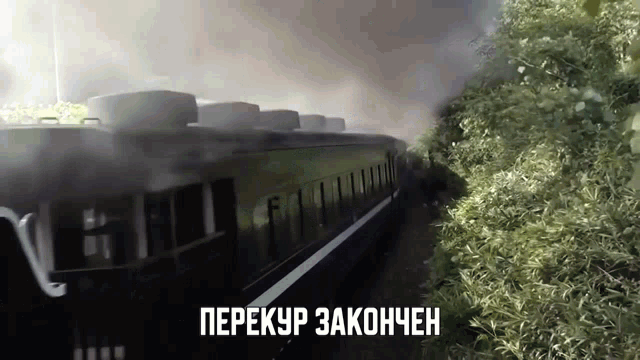 a train is going through a forest with the words " перекур закончен " written on the bottom