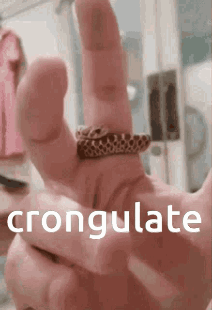 a person is holding a small snake on their finger and the word crongulate is on the bottom right