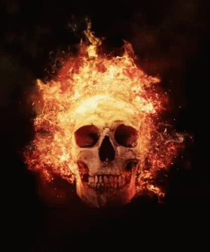 Skull On Fire GIF - Skull On Fire Calaca GIFs