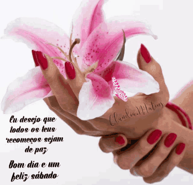 a woman 's hands with red nails holding a pink flower