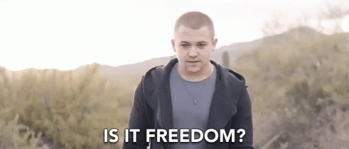 Is It Freedom Am I Really Free GIF - Is It Freedom Am I Really Free Is That Really Freedom GIFs