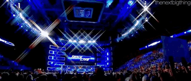 a crowd of people watching a concert with the words the nextbigthing on the bottom right
