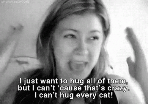 - GIF - Cat Lady Hug All The Cats I Want All The Cats GIFs