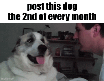 2nd Monthly GIF - 2nd Monthly Essica GIFs