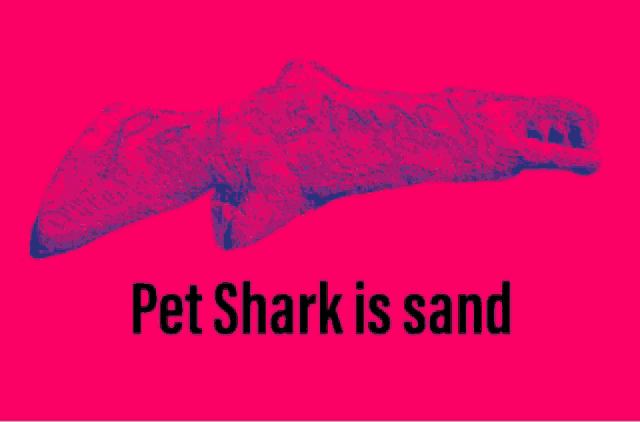 a green background with a picture of a shark and the words pet shark is come as you are