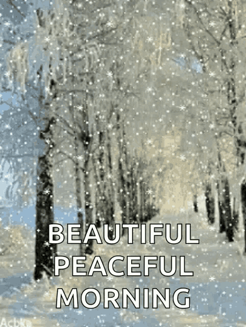 a snowy forest with the words beautiful peaceful morning on it