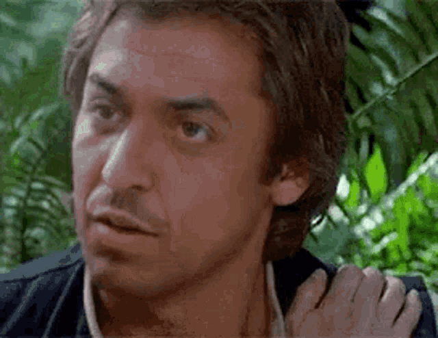 Karan Karangutan GIF