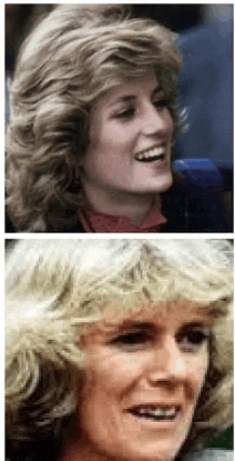 a close up of a woman 's face and a close up of a woman 's face and hair .