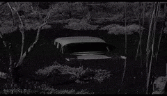 Norman Bates Psycho GIF - Norman Bates Psycho Sinking Car GIFs