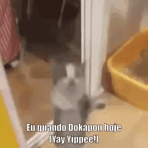 a cat is standing in a doorway with the words eu quando dokapon hoje yay yippee