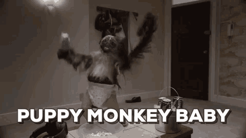 a baby monkey in a diaper is dancing in a room .