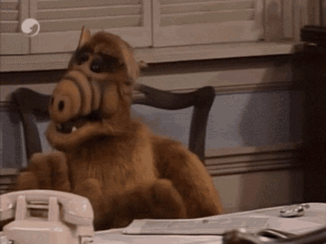 a stuffed animal is sitting at a desk with a telephone in front of it .