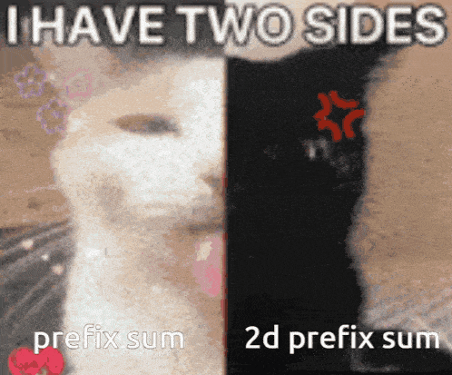 a picture of a cat with the words i have two sides prefix sum 2d prefix sum
