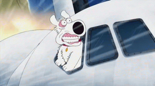 Family Guy Plane GIF - Family Guy Plane GIFs