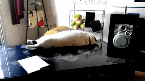 a cat laying on a table next to a speaker and a stuffed animal