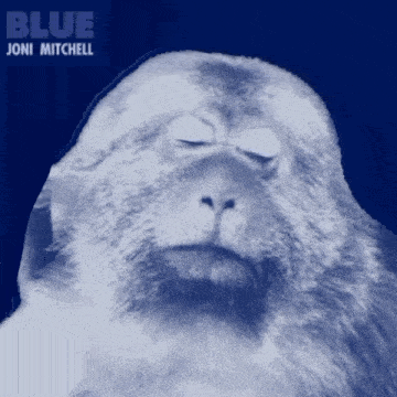 a monkey with its eyes closed is on the cover of joni mitchell 's album