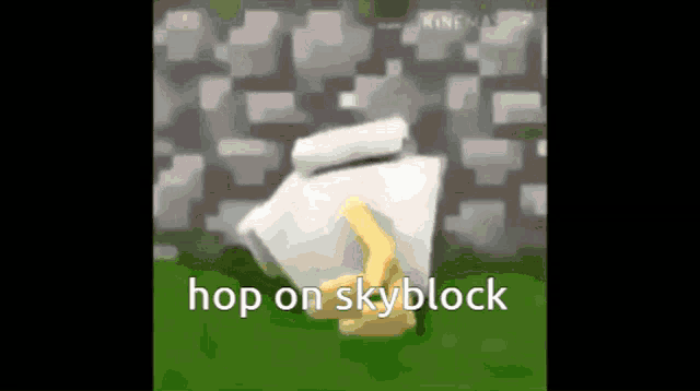 Hop On Skyblock Skyblock GIF - Hop On Skyblock Skyblock Gaming GIFs