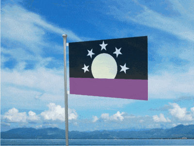 a black and purple flag with a white moon and stars on it