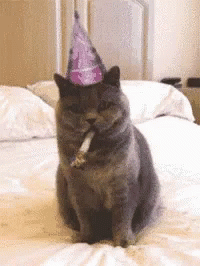 Happy Birthday Cat GIF - Happy Birthday Cat Greeting GIFs