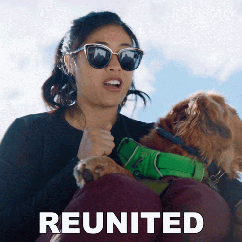 Reunited The Pack GIF - Reunited The Pack All Together Again GIFs