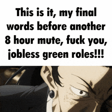 a picture of a man with the words " this is it my final words before another 8 hour mute fuck you jobless green roles " on it