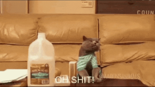 a cat sitting on a couch next to a bottle of milk