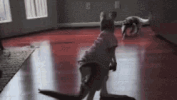 a little girl and a dog are playing on a red floor .