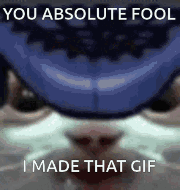 You Absolute Fool I Made That Gif GIF - You Absolute Fool I Made That Gif Sil GIFs