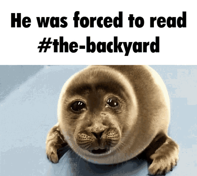 Backyard Seal GIF - Backyard Seal Cry GIFs