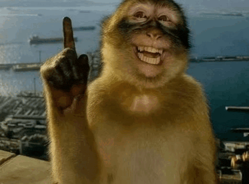 a monkey is pointing up with its finger
