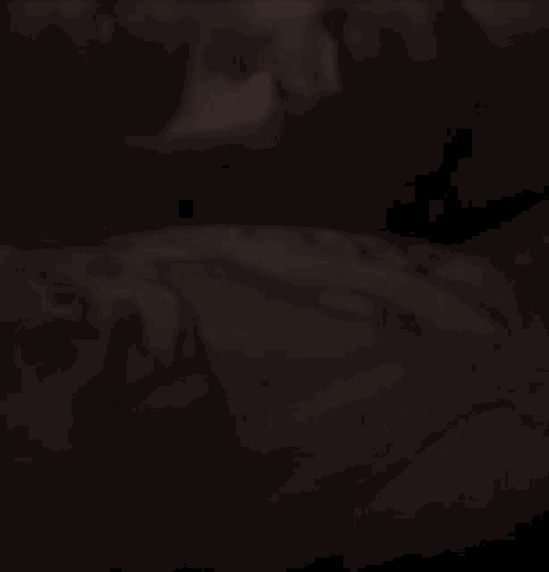 a blurry picture of a person laying on a bed
