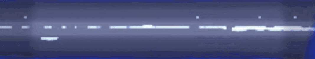 a blue background with a few lines of text