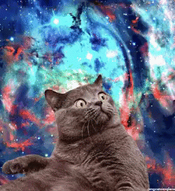 宇宙ねこ　うちゅうねこ　宇宙猫 GIF - Space Cat GIFs