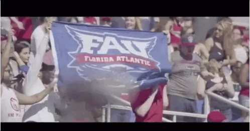Florida Atlanitc GIF - Florida Atlanitc Fau Owls GIFs