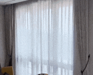 a person is standing in front of a window with white curtains .