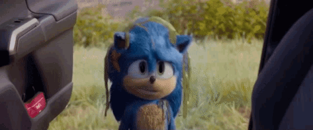 sonic the hedgehog is standing next to a car in a field .
