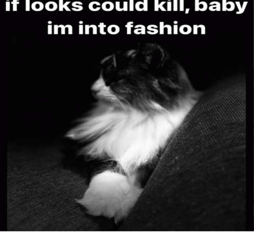 If Looks Could Kill Baby Im Into Fashion GIF