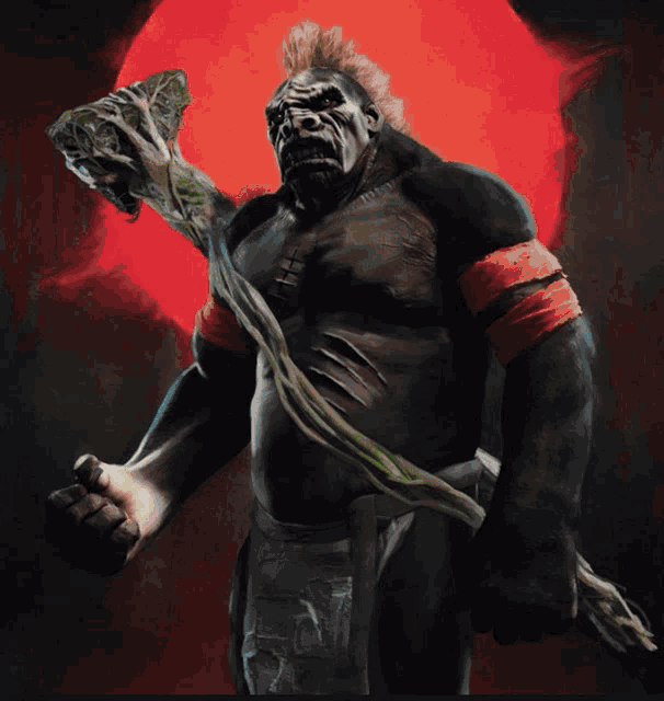 Gyris Bura GIF