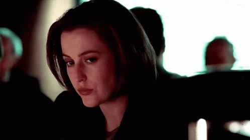 Mulder Scully GIF - Mulder Scully GIFs
